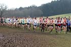 Soon after the start of the of the senior mens Inter Counties Cross Country, Cofton Park, Birmingham. Photo: David T. Hewitson/Sports for All Pics